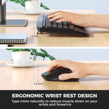 MEETION DirectorA Wireless Keyboard and Mouse, 2.4G & Bluetooth Keyboard Mouse Combo, Full Size Keyboard with Wrist Rest, Swing Wheel Silent Optical Mouse, USB-A Reciver, for Windows/Mac/Computer/Laptop MEETION DirectorA Wireless Keyboard and Mouse, 2.4G & Bluetooth Keyboard Mouse Combo, Full Size Keyboard with Wrist Rest, Swing Wheel Silent Optical Mouse, USB-A Reciver, for Windows/Mac/Computer/Laptop